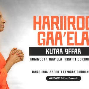 Hariiroo Gaa’elaa Kutaa 9ffaa | Humnoota Gaa’ela Irratti Dorgoman