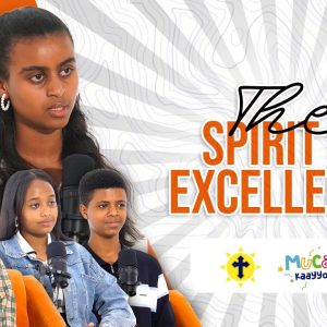 Spirit of Excellence
